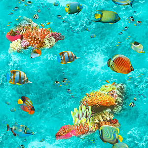 Саратовские Обои Немо С31-612В 04